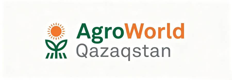 2026���20�����ǹ�����˹̹����ũ��չ